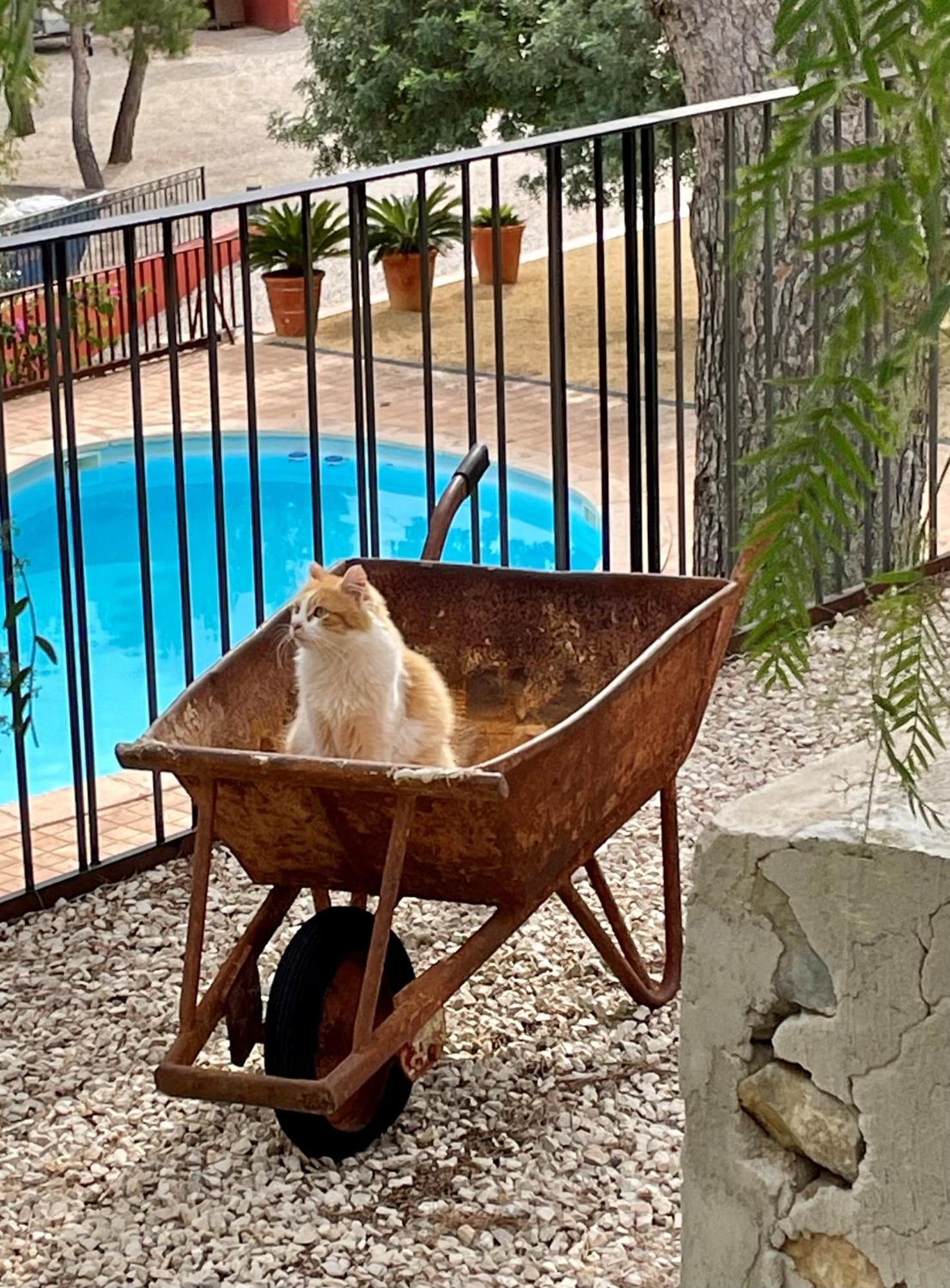El Otero Aigues